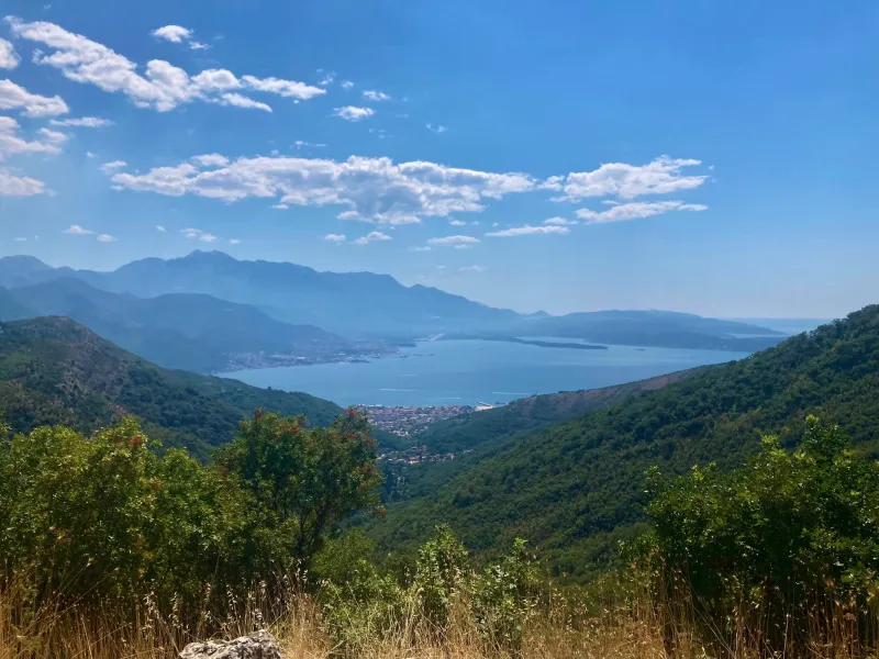 Prodajem  razne vrste placeva