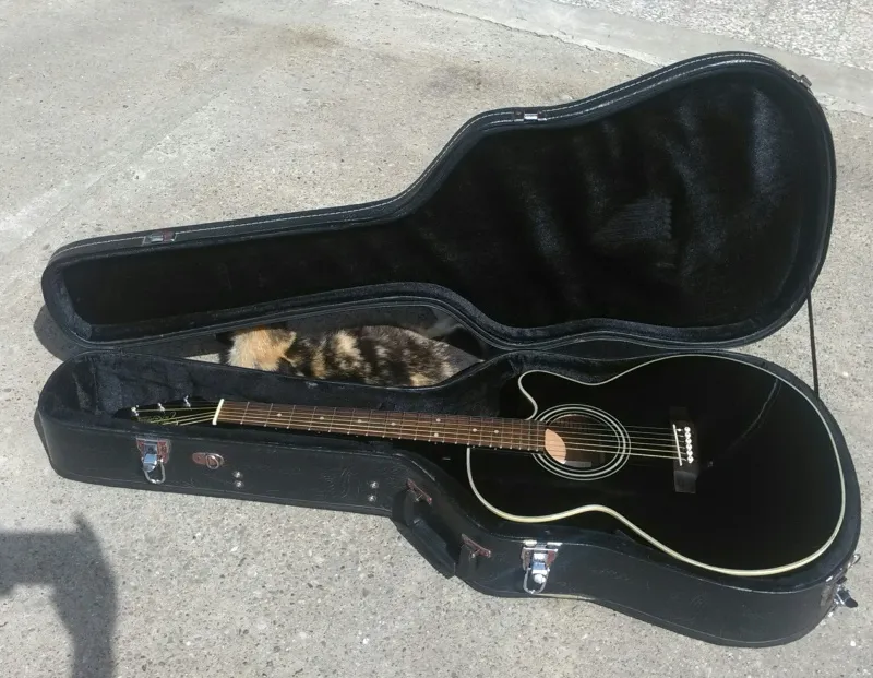 takamine eg 541sc