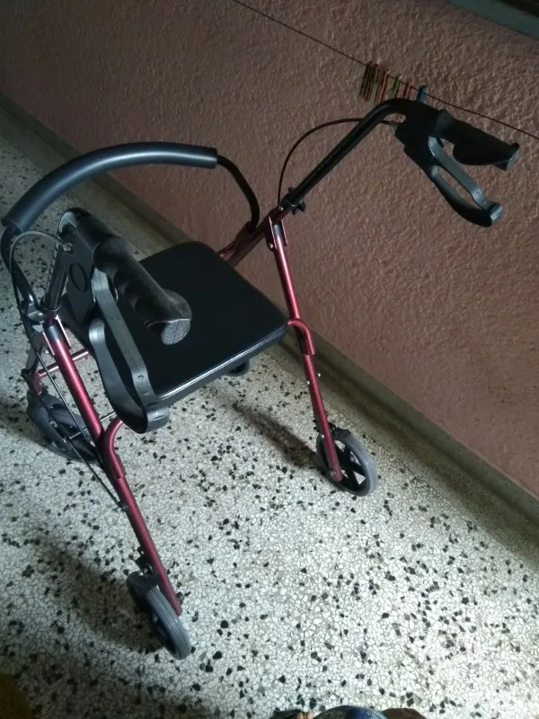 Pomoćna gradska hodalica