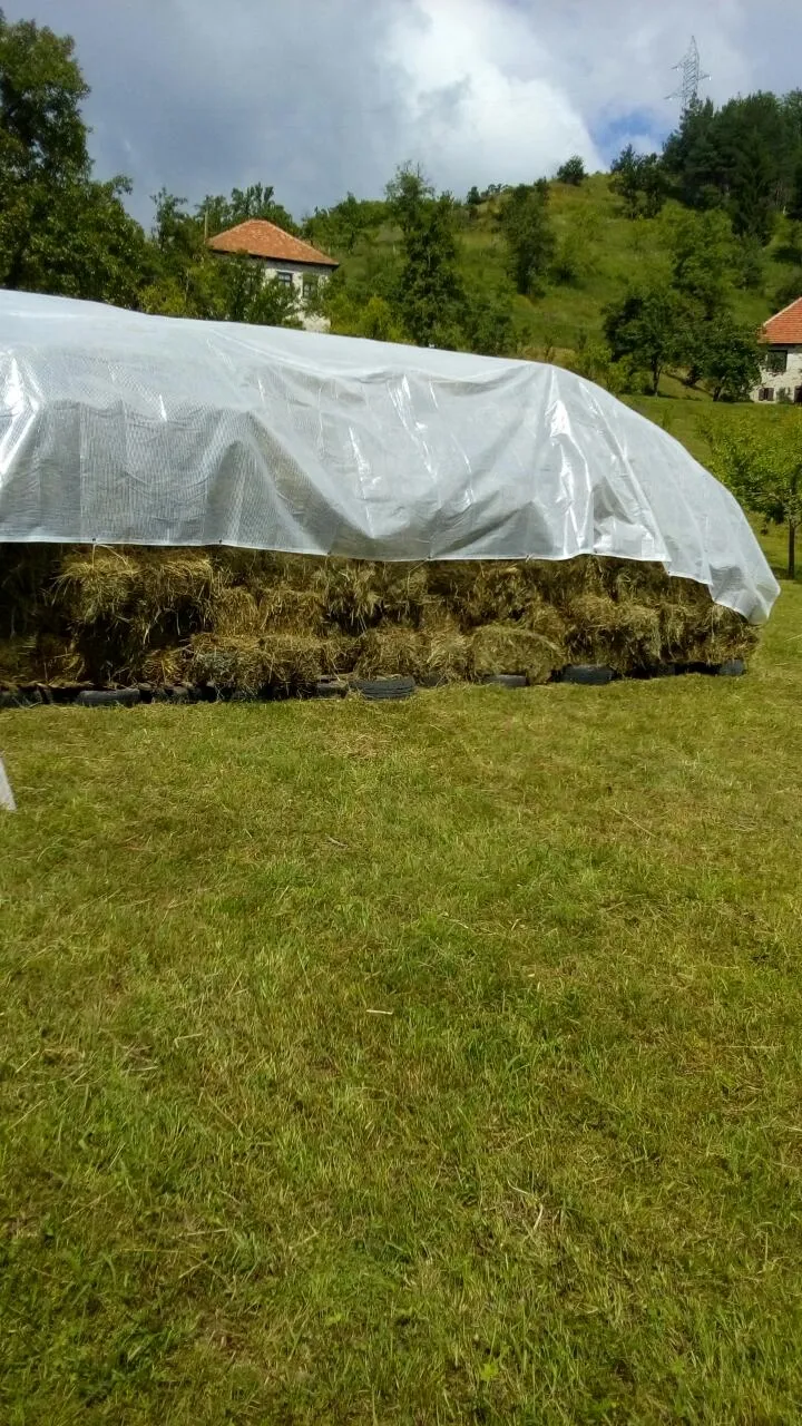 Balirano Sijeno