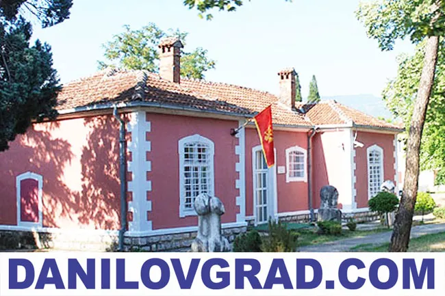 DANILOVGRAD.COM