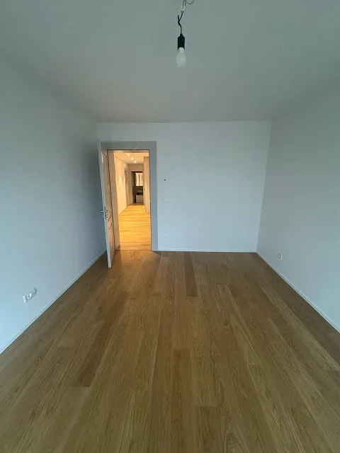 Vrhunski moleri,elektricari,zidari