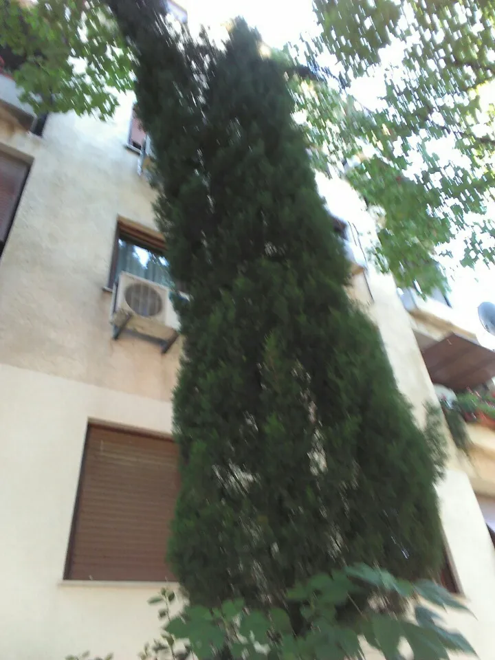 Prodajem stan 21m2 Podgorica