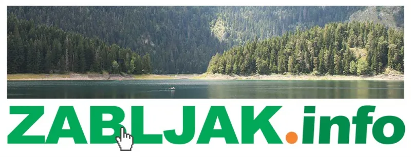 ZABLJAK.INFO - domen na prodaju
