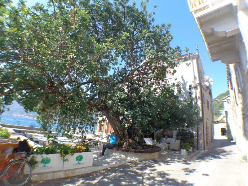 Izdavanje apartmana Tivat – Donja Lastva