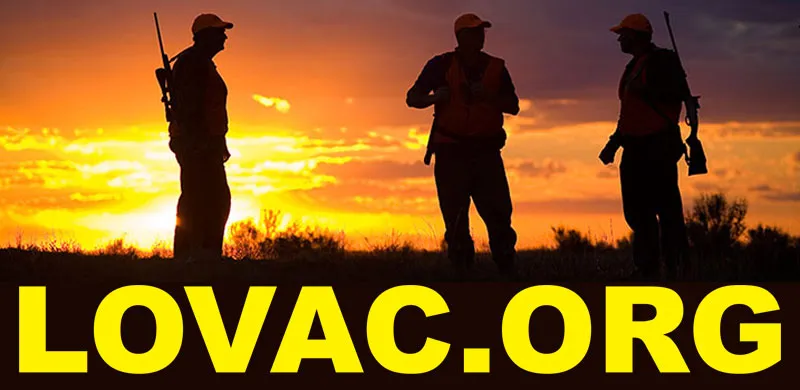 LOVAC.ORG - domen na prodaju