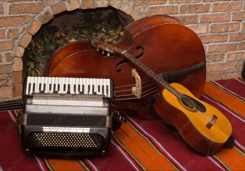 Muzika za doček svatova , svadbene proslave i sva druga slavlja