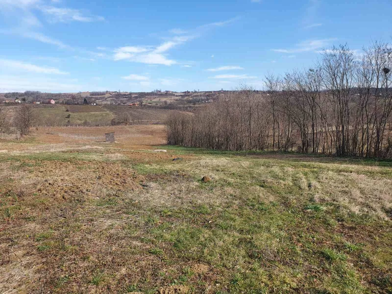 Topola-Gornja Šatornja, njiva 353 ara,