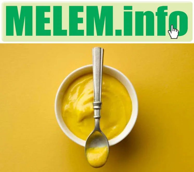 MELEM.INFO - domen na prodaju