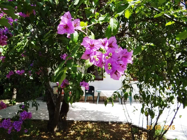 Izdavanje stana/apartmana ,Tivat