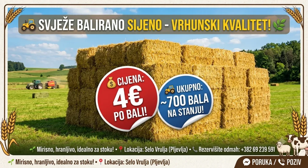 Balirano sijeno