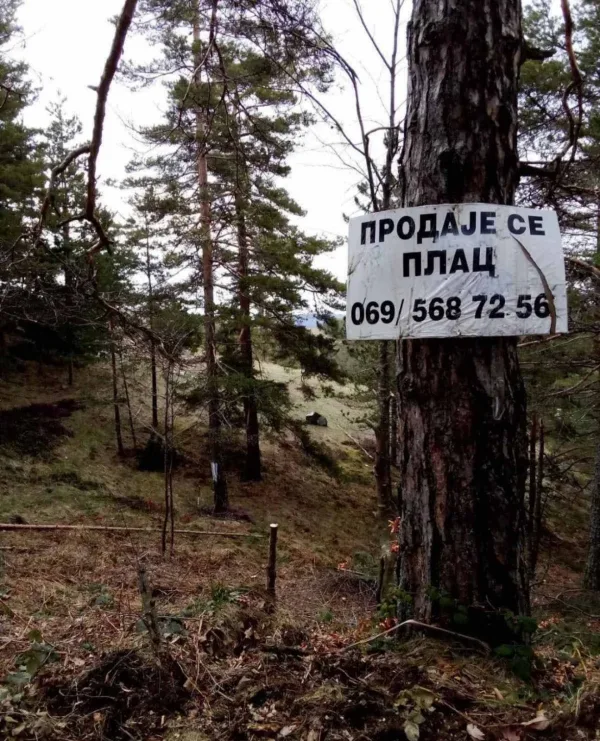 Prodajem plac na Divčibarama