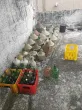 Slika 1