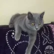 Slika 3