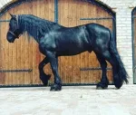 Slika 2