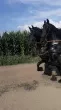 Slika 6