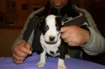 Slika 3