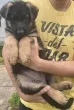 Slika 1