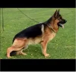 Slika 2
