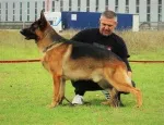 Slika 5