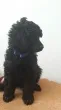Slika 2