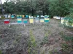 Slika 1