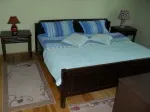 Slika 1