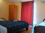 Slika 1