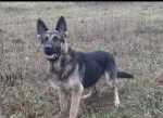 Slika 4