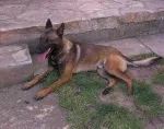 Slika 6
