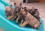 Slika 3