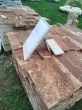 Slika 2
