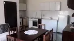 Slika 1