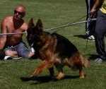 Slika 2