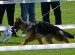 Slika 1