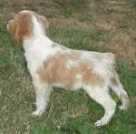 Slika 3
