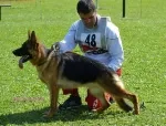 Slika 5