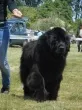 Slika 2