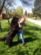 Slika 3