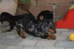 Slika 2
