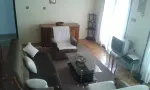 Slika 1