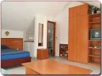 Slika 1