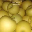 Slika 6