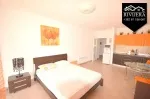 Slika 1
