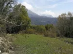 Slika 5