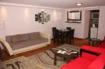 Slika 1