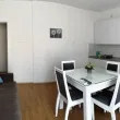 Slika 1