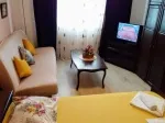 Slika 1