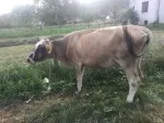 Slika 2