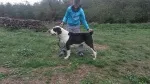 Slika 5